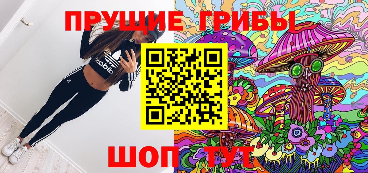 Каменск-Уральский  Псилоцибиновые грибы Psilocybe  Вход с VPN  Галлюциногенные грибы Psilocybe 